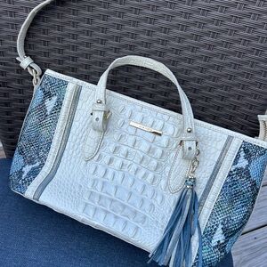 EUC with bag & registration card. Mini Asher daydream June bug Brahmin bag.